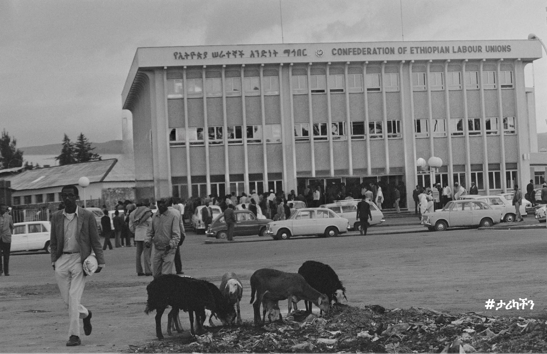 Members of an Ethiopian workers' association (serategnoch mahber) gathered for May Day
